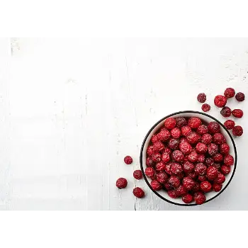 Organic Dehydrated Cranberries